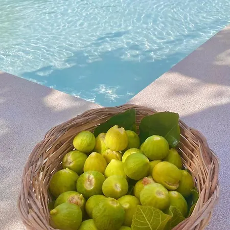 Holiday With Swimming Pool *